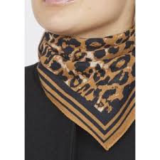 Sisters Point - Scarf 499 - Leo